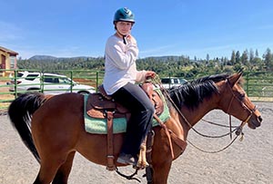 Sensitive New Horse
